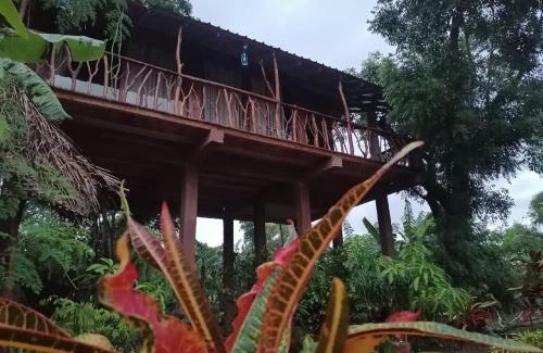 Sigiriya Cabina | Sigiriya Rock View Tree house