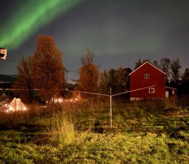Tromso Casa | Sigridtunet - 4 bedroom Arctic experiences by the sea, with great opportunities to see the Northern lights dancing just for you!