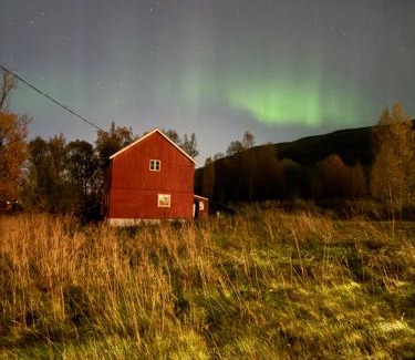 Tromso Casa | Sigridtunet - 4 bedroom Arctic experiences by the sea, with great opportunities to see the Northern lights dancing just for you!
