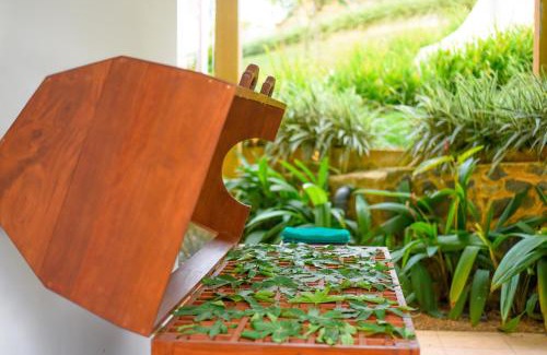 Kirantidiya Complejo | Silent Garden Ayurveda Health Resort