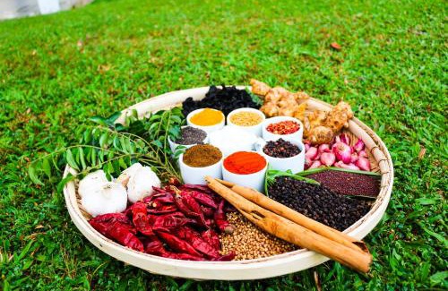 Kirantidiya Complejo | Silent Garden Ayurveda Health Resort