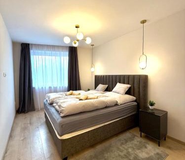 Nyiregyhaza Apartamento | SILK Apartman -free private garage