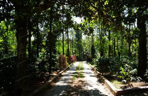 Chikkamagaluru Casa | Silver springs Homestay Chickmagalur