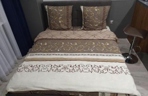 Uzhhorod Apartamento | Silver Star Apartment