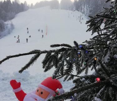 Vysne Ruzbachy Casa | Silvestrovska Chata