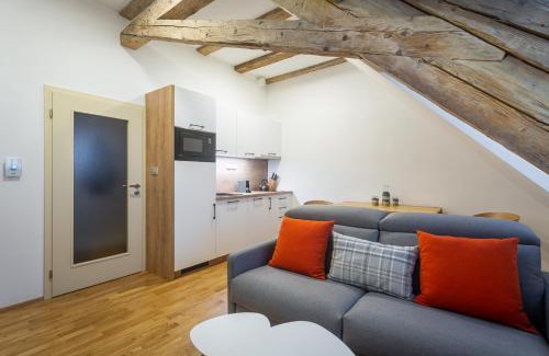 Bozi Dar Apartamento | Simba Boží Dar by Mountain ways