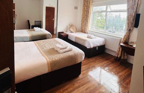 Brent Casa | Sinai Hotel