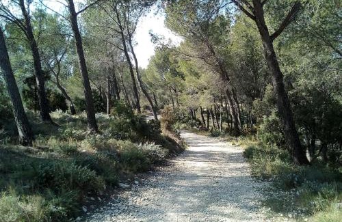 Noves Apartamento | Single storey 40m² bordering pine forest and spa