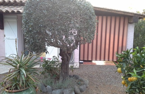 Le Dramont Casa | Casa con vista al mar, jardín + terraza, 2 habitaciones con aire acondicionado, WIFI, garaje.