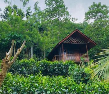 Kotapola Casa | Sinharaja Forest Lodge - Deniyaya