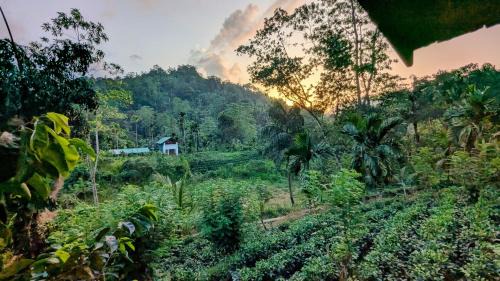 Kotapola Casa | Sinharaja Forest Lodge - Deniyaya