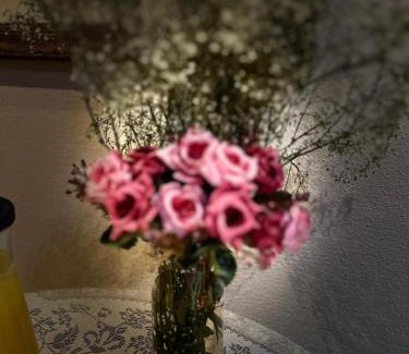 Nova Odessa Hotel | Skalla Hotel Nova Odessa