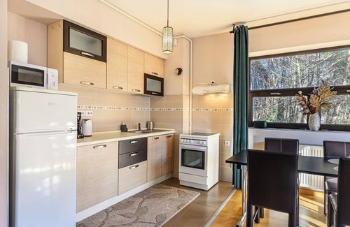 Predeal Apartamento | Ski View Apartment Predeal