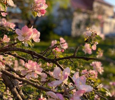 Skrunda Apartamento | Skrunda Apartments Elandrum