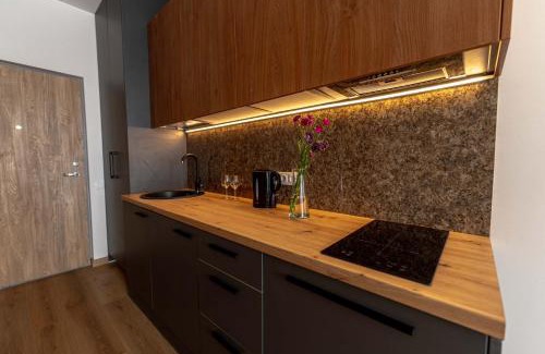 Druskininkai Apartamento | Sky Pool Escape Luxury Apartment in Druskininkai Center