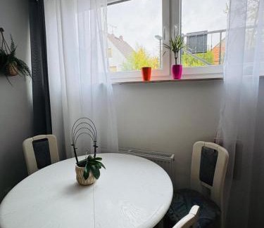 Seligenstadt Casa | Skylineblick Doppelzimmer