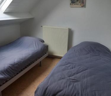 Vlimmeren Apartamento | slapen bij alpacas