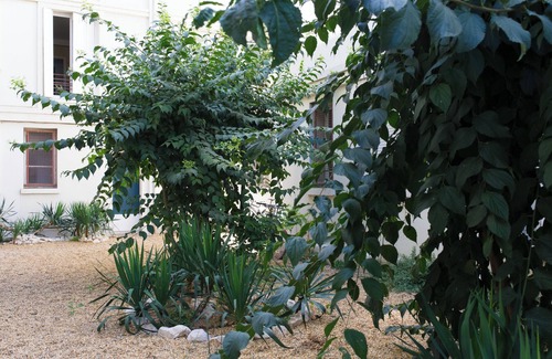 Gambetta Apartamento | Sleep-in-montpellier / Sleep / Centre / 5ch / Gare St Roch / Tram