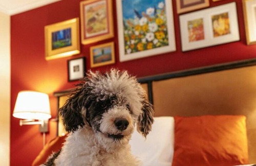 Woodstock Hotel | Sleep Woodstock - Dog Friendly King Suite