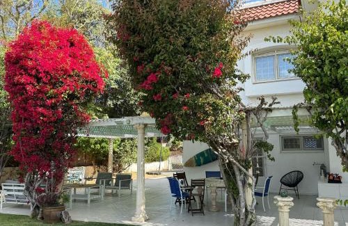 Caesarea Villa | Sleeps 12 Family Villa By The Sea W Jacuzzi & Pool