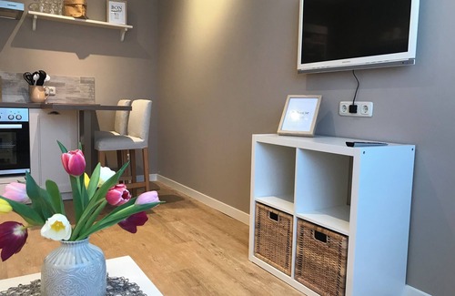 Bad Breisig Apartamento | Small & fine, 2 room apartment 2 min. to the romantic Rhine