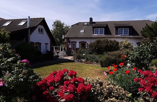 Polchow Apartamento | Small vacation cottage - lovingly managed pension in Neddesitz on Rügen