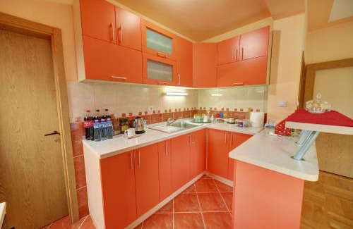 Zlatibor Apartamento | Smestaj Rakovic