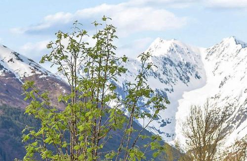 Alyeska Chalet De Esquí | Snowbird Chalet #8
