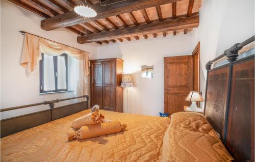 Apecchio Casa | Socagril Verde Ss