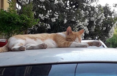 Neos Kosmos Apartamento | Socrates path