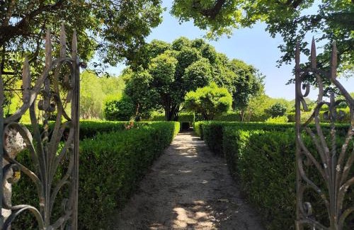 Nelas Casa | Solar de Vilar Seco