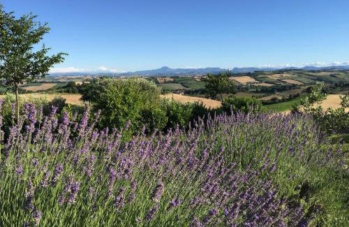 Ripe Casa | Solea Relais di Charme- Adults only