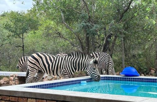 Marloth Park Casa | Sonador Bush House