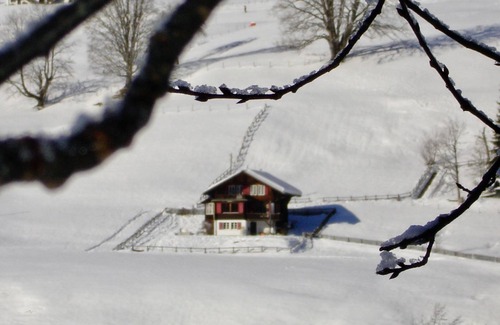 Schoenried Apartamento | Sonnenfreude, Chalet by Interhome