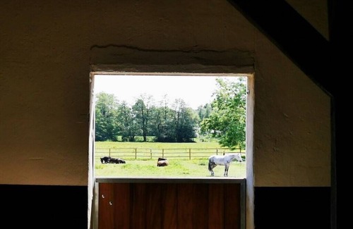 Reinsehlen Apartamento | Sophienhof Lieselotte