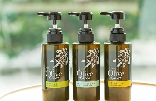 Fujisawa Hotel | Sotetsu Fresa Inn Fujisawa Shonandai