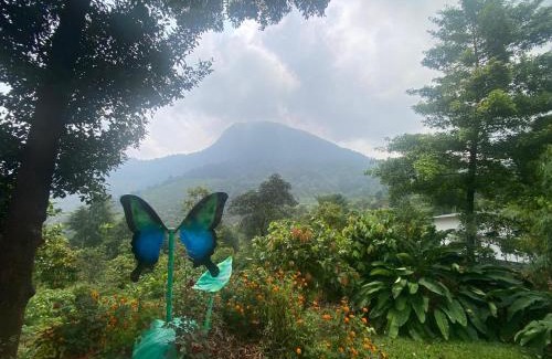 Talipparamba Casa | Soul Mountain