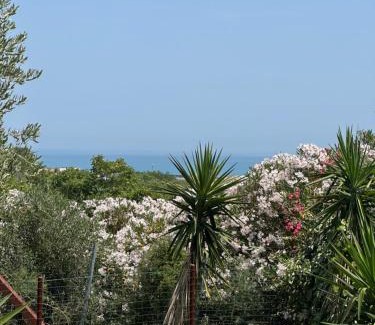 Termoli Cama Y Desayuno | Soulmondo - BnB Dalì