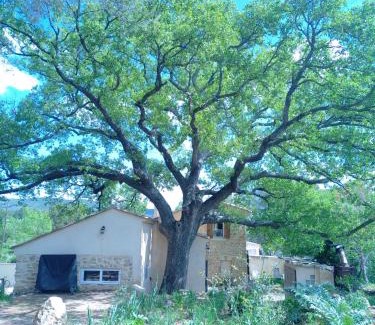 Lambesc Casa | Sous un chêne bicentenaire