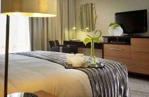 Greater Johannesburg Metropolitan Area Hotel | Southern Sun Hyde Park