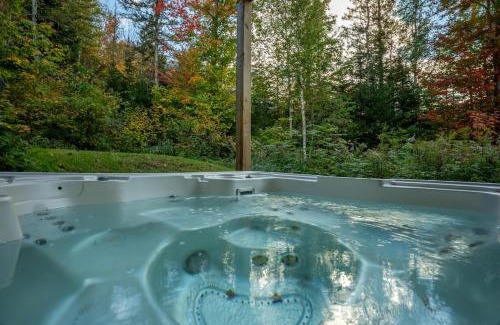 Sainte-Beatrix Chalet De Esquí | Spa Et Billard Le Picasso Tout En Couleurs