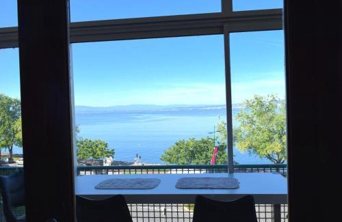 Evian-les-Bains Apartamento | Spacieux appartement à Évian, proche centre et lac, pour 5 personnes, animaux acceptés - FR-1-498-7