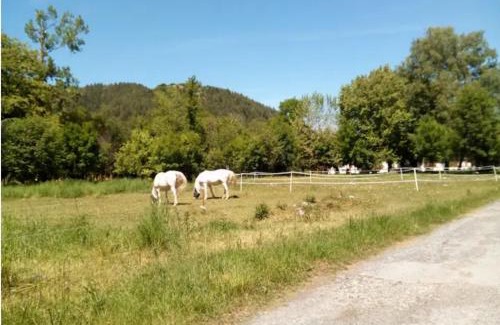 Pouzac Apartamento | Spacieux appartement calme
