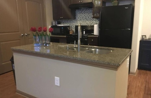 Grogan's Mill Apartamento | Amplio condominio de 1 habitación / 1 baño en The Woodlands