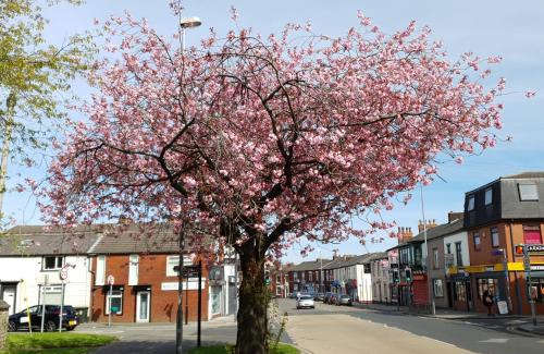 Rochdale Apartamento | Spacious Flat Near Rochdale Centre Self Check-in Free Parking & Fast Wi-Fi