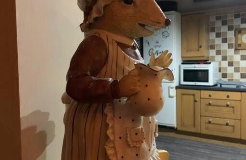 Rhayader Apartamento | Spacious private accommodation