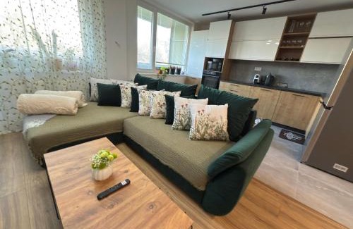 Nad Jazerom Apartamento | Sparrow apartmens - Superior family