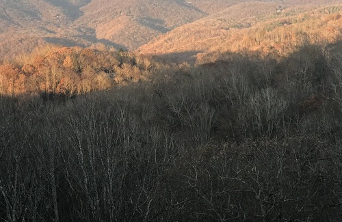 Boone Cabaña | ¡Increíble vista a la montaña del abuelo! Fresco y sombreado. Dos cubiertas. Cerca de la avenida.
