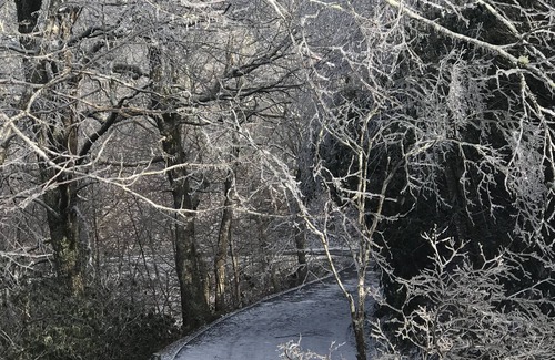 Boone Cabaña | ¡Increíble vista a la montaña del abuelo! Fresco y sombreado. Dos cubiertas. Cerca de la avenida.