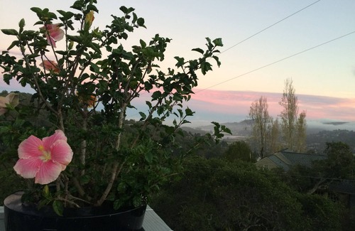 Mill Valley Casa | Vistas espectaculares, privacidad, Sol, 5 minutos del centro de Mill Valley